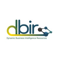 Dynamic Business Intelligence Resources, Llc logo