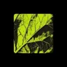 Lemon Technologies logo