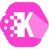 Konsyg logo