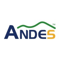 Andes Technology logo