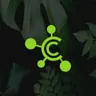 Causeway Connect logo