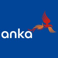 Ankafreight Hava Ve Deniz Taşımacılık A.Ş logo