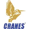 Cranes Varsity Pvt. Ltd logo