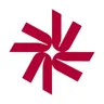 Nexialog Consulting logo