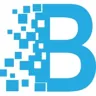 Bizee Global Hr Consulting - India, Africa & Middle-East logo