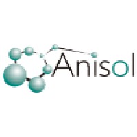 Anisol Equipos logo