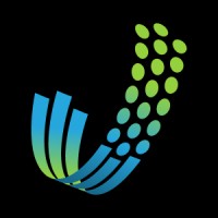 Data Surge logo