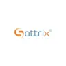 Sattrix Information Security logo