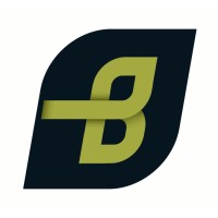 Bi System Builders Ltd logo