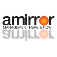 Amirror Group Organizational Development Ltd logo