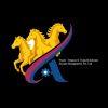 Avyaan Management Pvt. Ltd logo