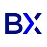 Bullmetrix logo